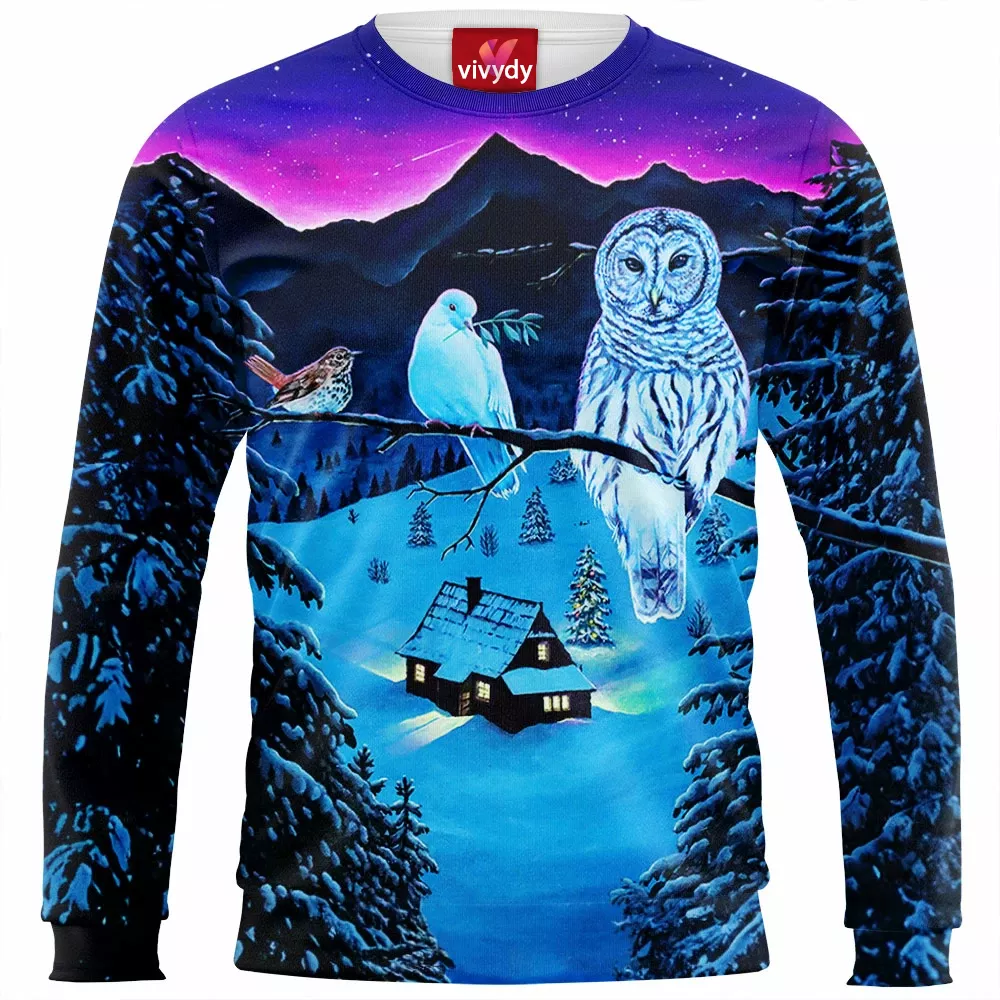 Winter Owl Sweatshirt