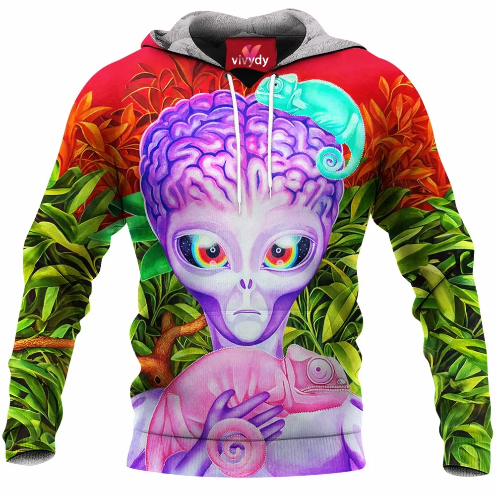 Chameleons Hoodie