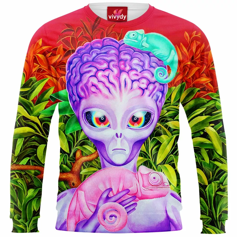 Chameleons Sweatshirt