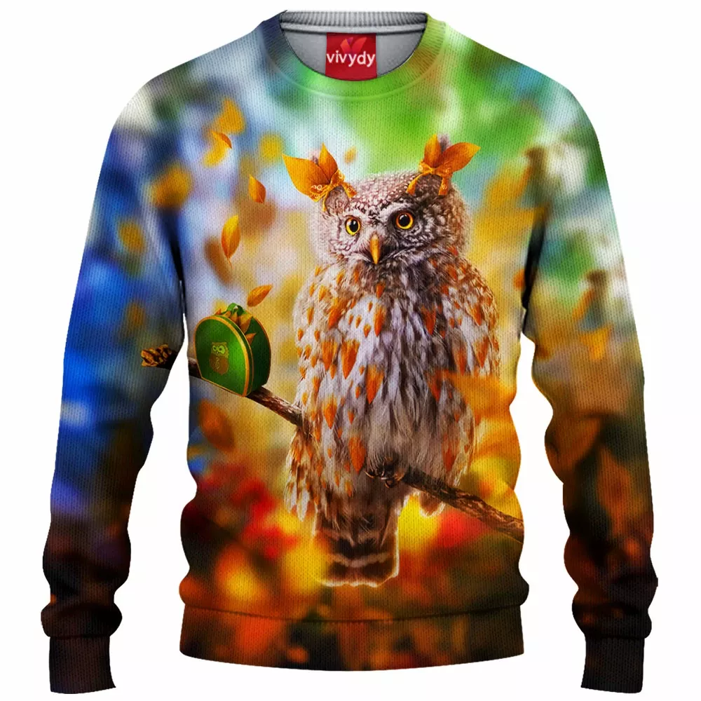 Autumn Owl Knitted Sweater