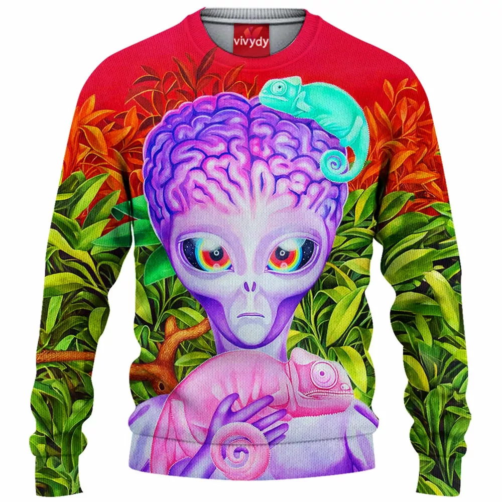 Chameleons Knitted Sweater